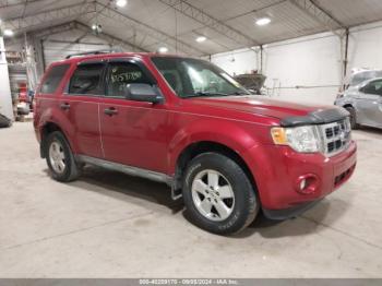  Salvage Ford Escape