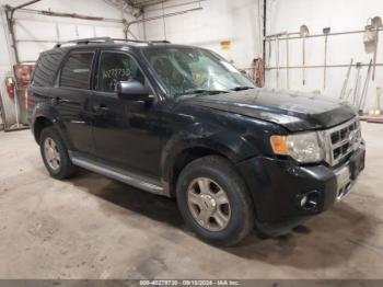  Salvage Ford Escape