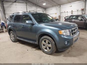  Salvage Ford Escape