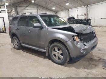  Salvage Ford Escape