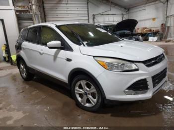  Salvage Ford Escape