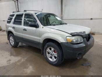  Salvage Ford Escape