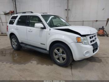 Salvage Ford Escape