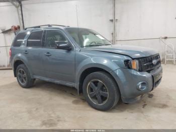  Salvage Ford Escape