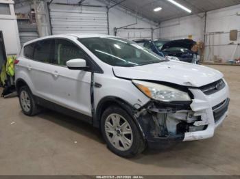  Salvage Ford Escape