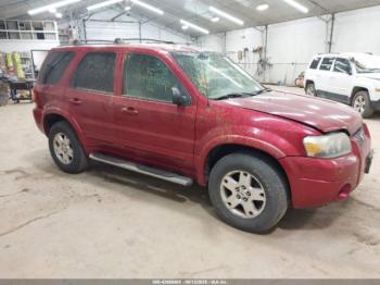  Salvage Ford Escape