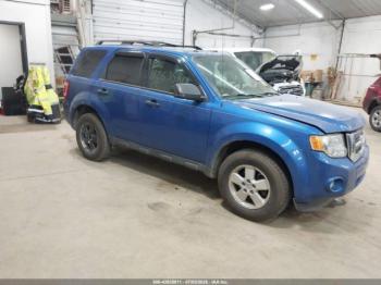  Salvage Ford Escape