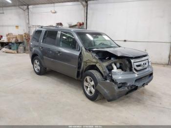  Salvage Honda Pilot