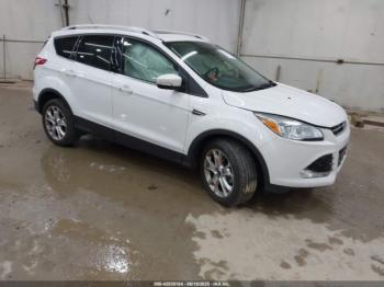  Salvage Ford Escape