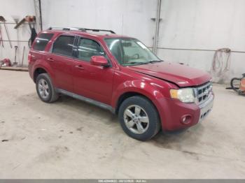  Salvage Ford Escape
