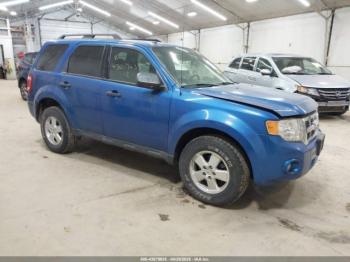  Salvage Ford Escape