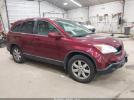Honda CR-V Ex-l Image 1