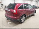 Honda CR-V Ex-l Image 5