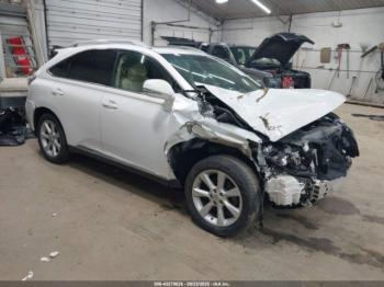  Salvage Lexus RX
