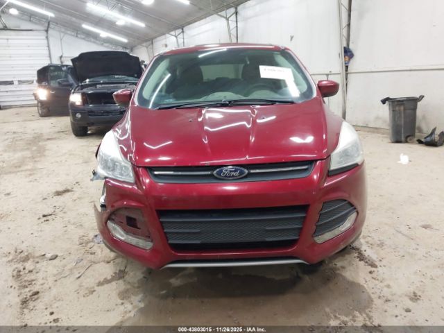 Ford Escape Se Image 7