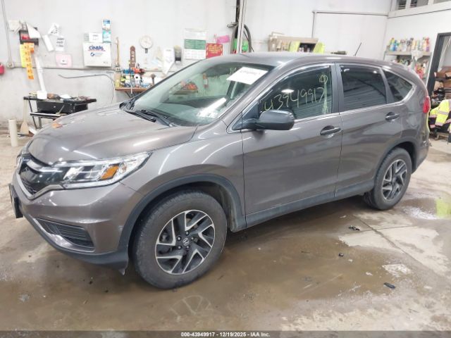 Honda CR-V Se Image 5