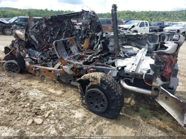 Ford F-150 Raptor Image 6