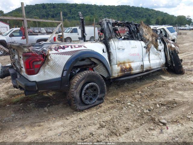 Ford F-150 Raptor Image 4