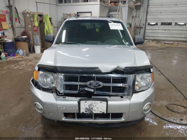 Ford Escape Xlt Image 2