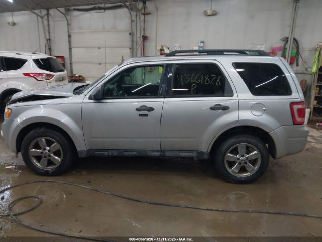 Ford Escape Xlt Image 6