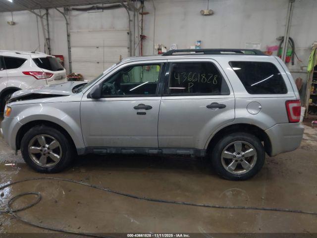 Ford Escape Xlt Image 6
